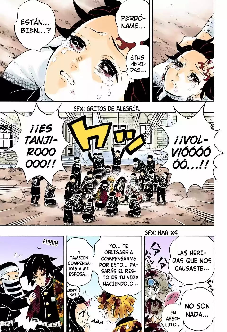 Kimetsu No Yaiba - Capítulo 203.50 - Página 16 - LectorTMOo