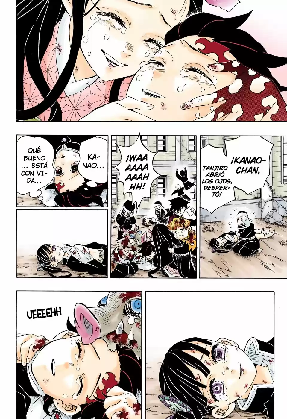 Kimetsu No Yaiba - Capítulo 203.50 - Página 17 - LectorTMOo