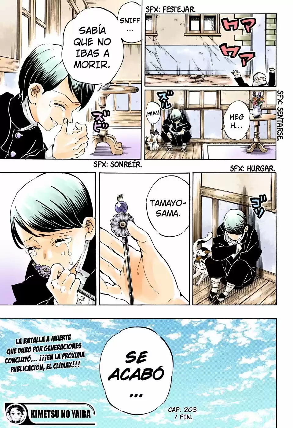 Kimetsu No Yaiba - Capítulo 203.50 - Página 18 - LectorTMOo
