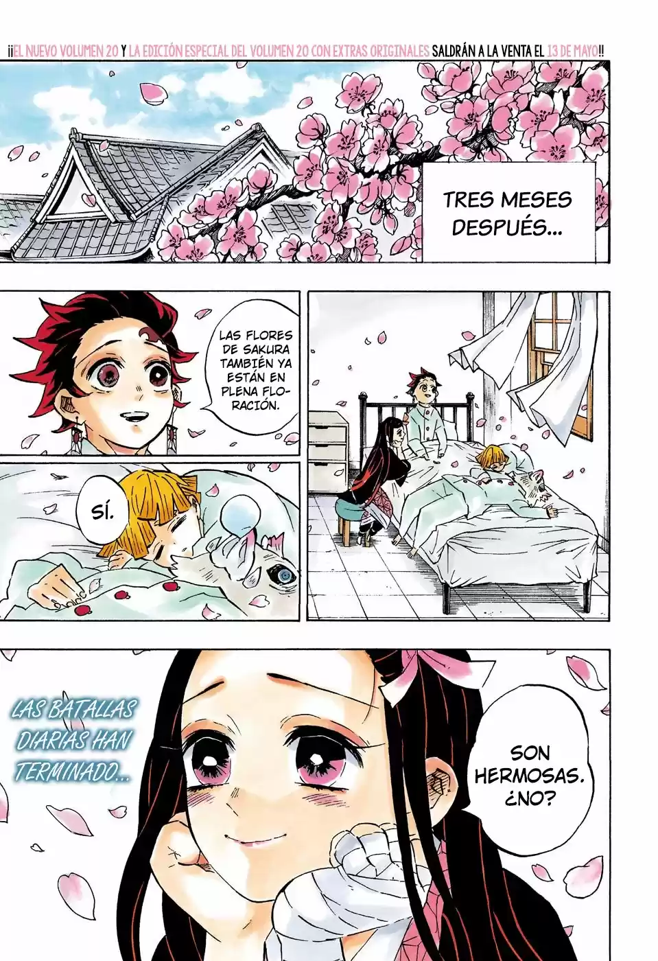 Kimetsu No Yaiba - Capítulo 204.50 - Página 3 - LectorTMOo