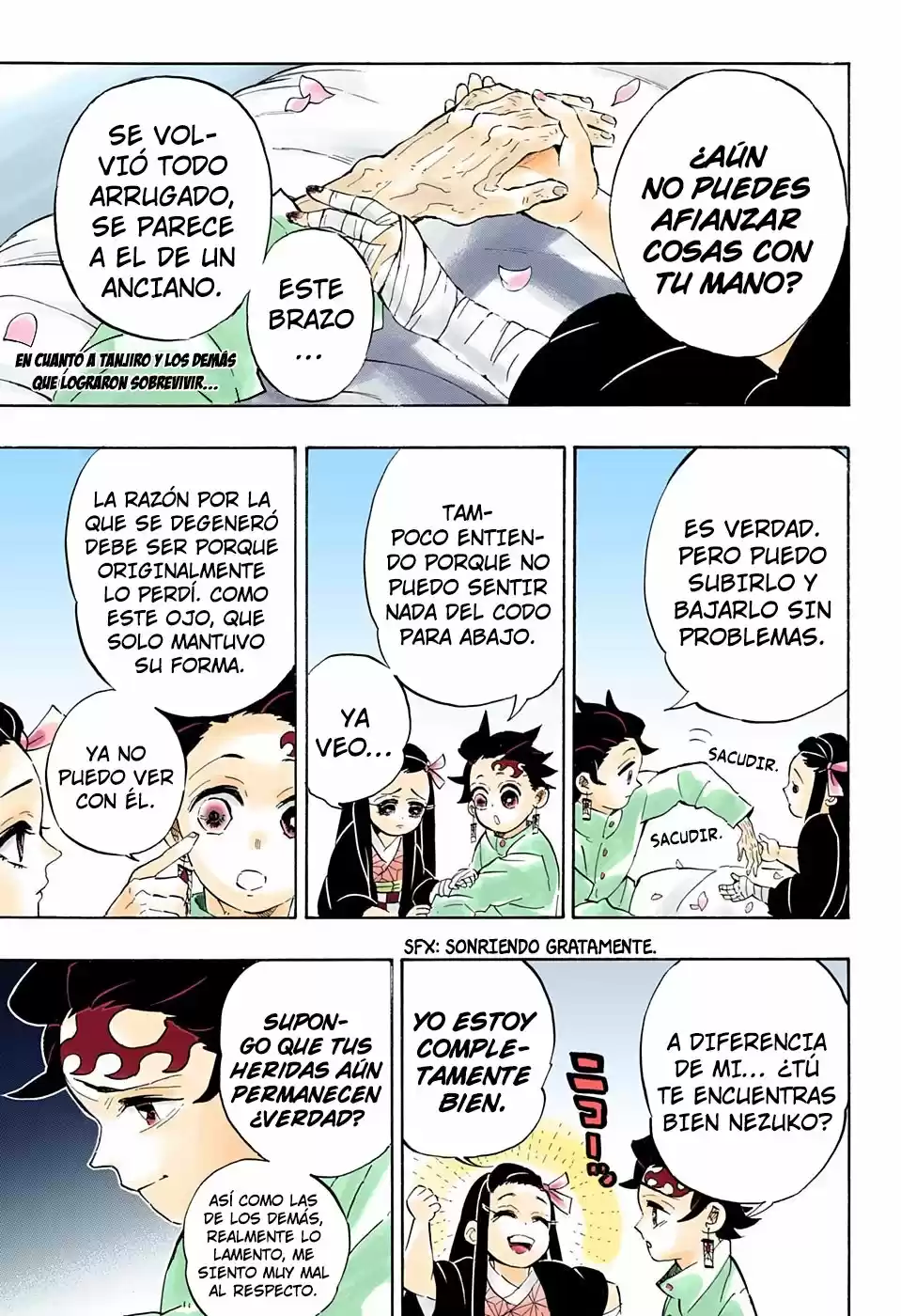 Kimetsu No Yaiba - Capítulo 204.50 - Página 6 - LectorTMOo