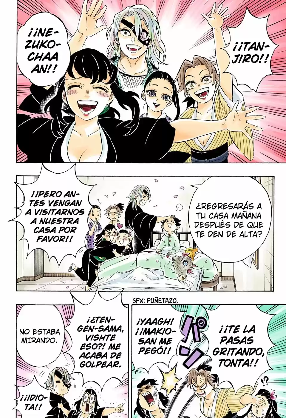 Kimetsu No Yaiba - Capítulo 204.50 - Página 15 - LectorTMOo