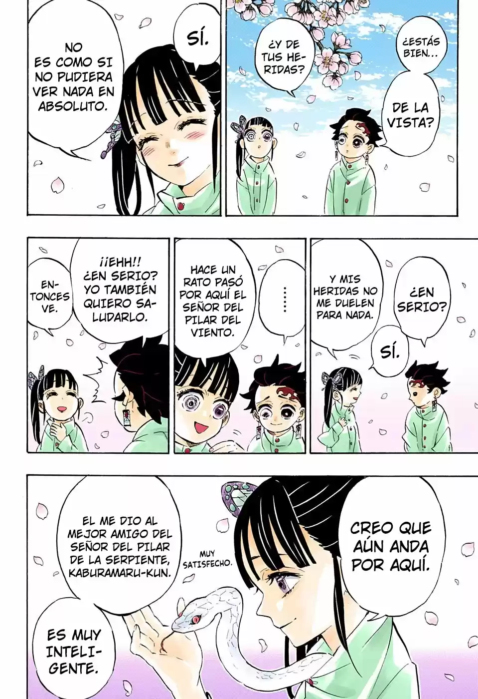 Kimetsu No Yaiba - Capítulo 204.50 - Página 21 - LectorTMOo