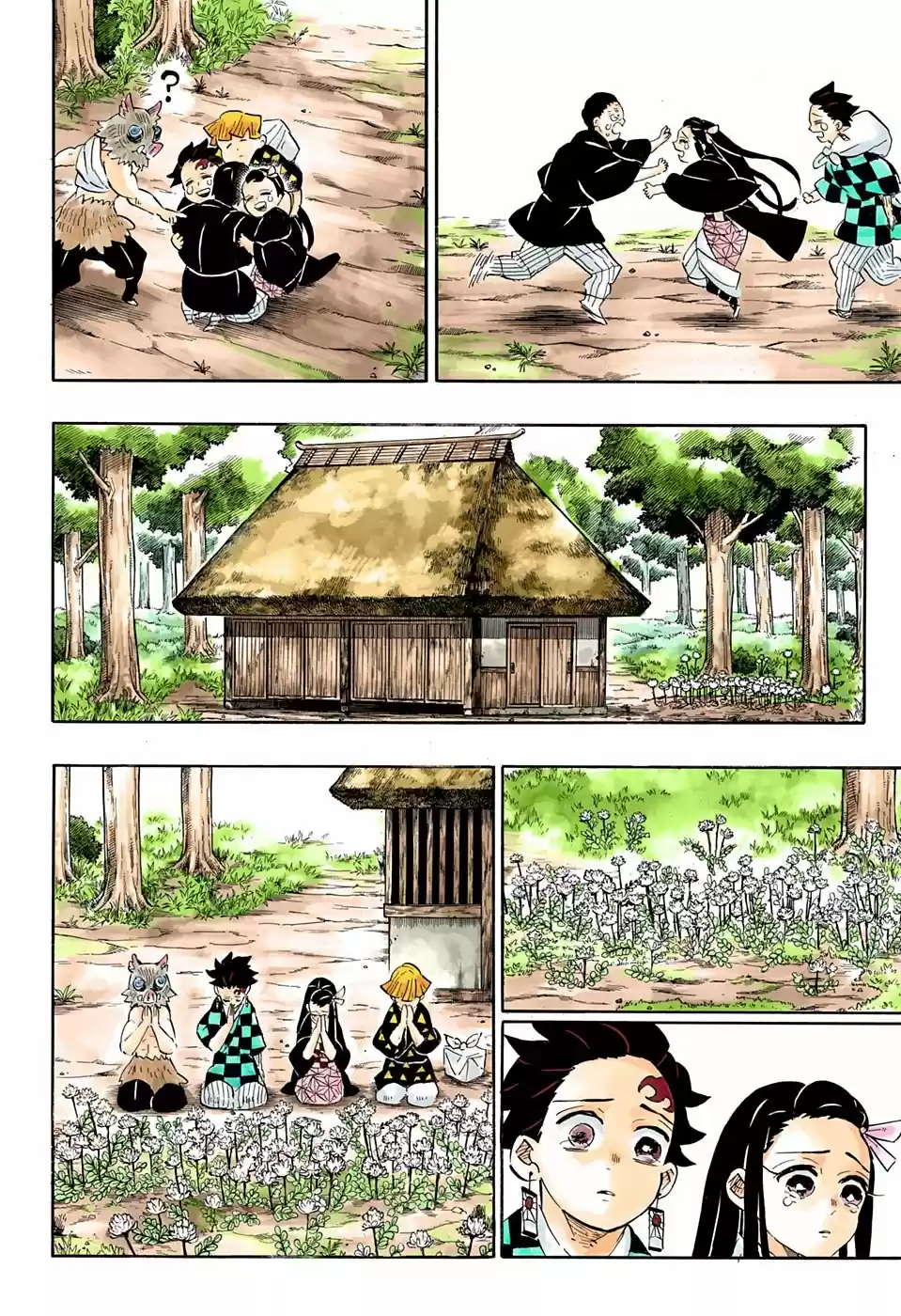 Kimetsu No Yaiba - Capítulo 204.50 - Página 27 - LectorTMOo