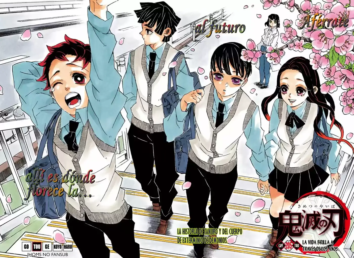 Kimetsu No Yaiba - Capítulo 205.50 - Página 3 - LectorTMOo