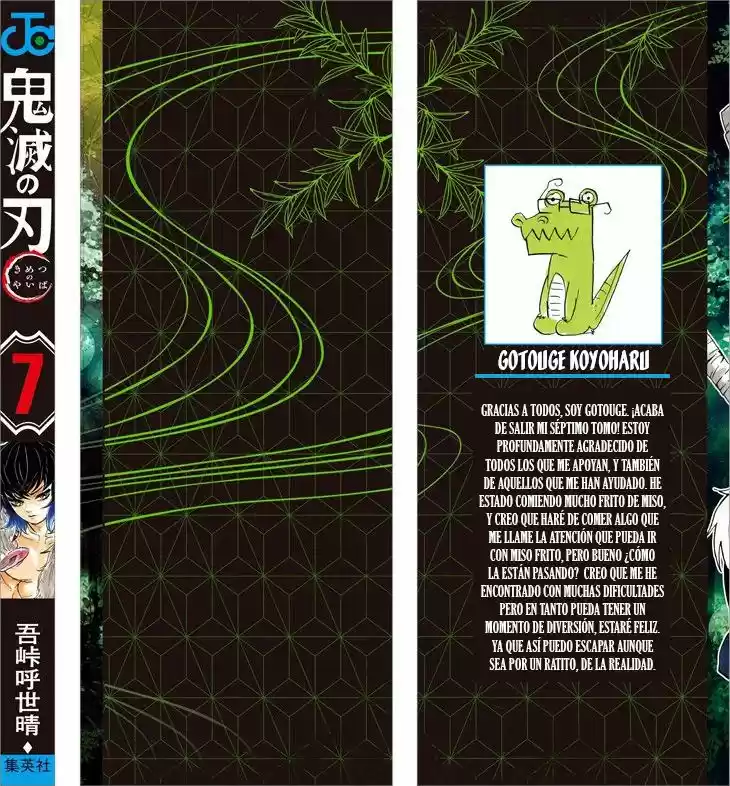 Kimetsu No Yaiba - Capítulo 73.50 - Página 17 - LectorTMOo