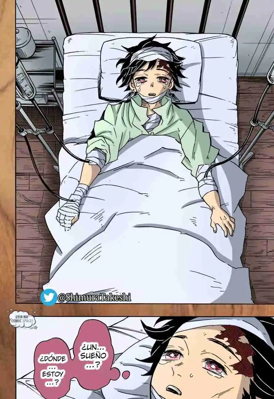 Kimetsu No Yaiba - Capítulo 99.50 - Página 19 - LectorTMOo