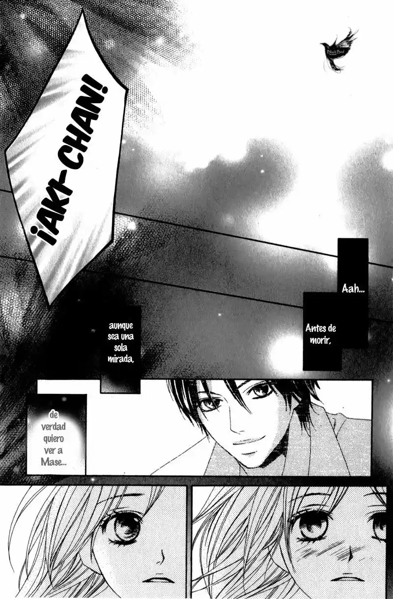 Kimi Ga Suki (Watanabe Ayu) - Capítulo 13 - Página 58 - LectorTMOo
