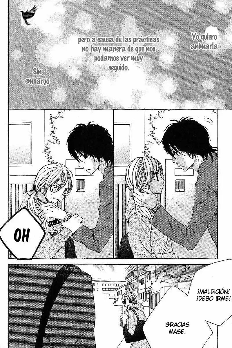Kimi Ga Suki (Watanabe Ayu) - Capítulo 14 - Página 15 - LectorTMOo