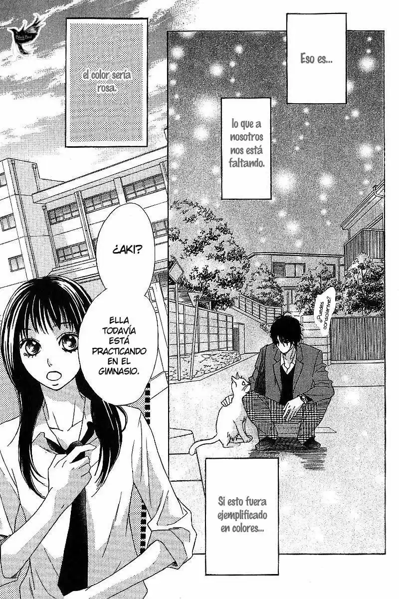 Kimi Ga Suki (Watanabe Ayu) - Capítulo 14 - Página 16 - LectorTMOo