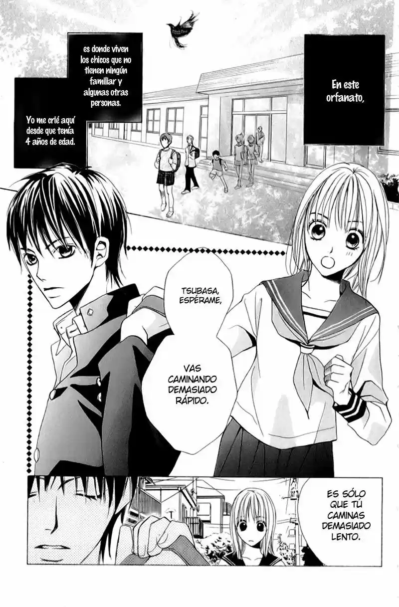 Kimi Ga Suki (Watanabe Ayu) - Capítulo 16 - Página 8 - LectorTMOo