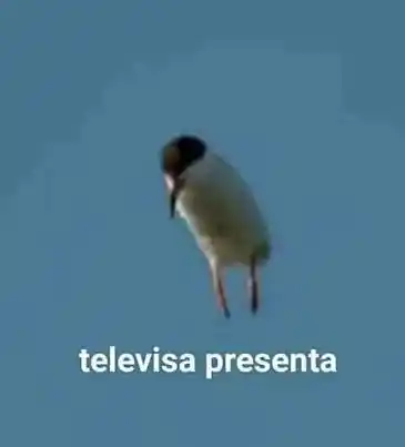 Kimi Ni Sasageru Otokomae - Capítulo 2 - Página 1 - LectorTMOo