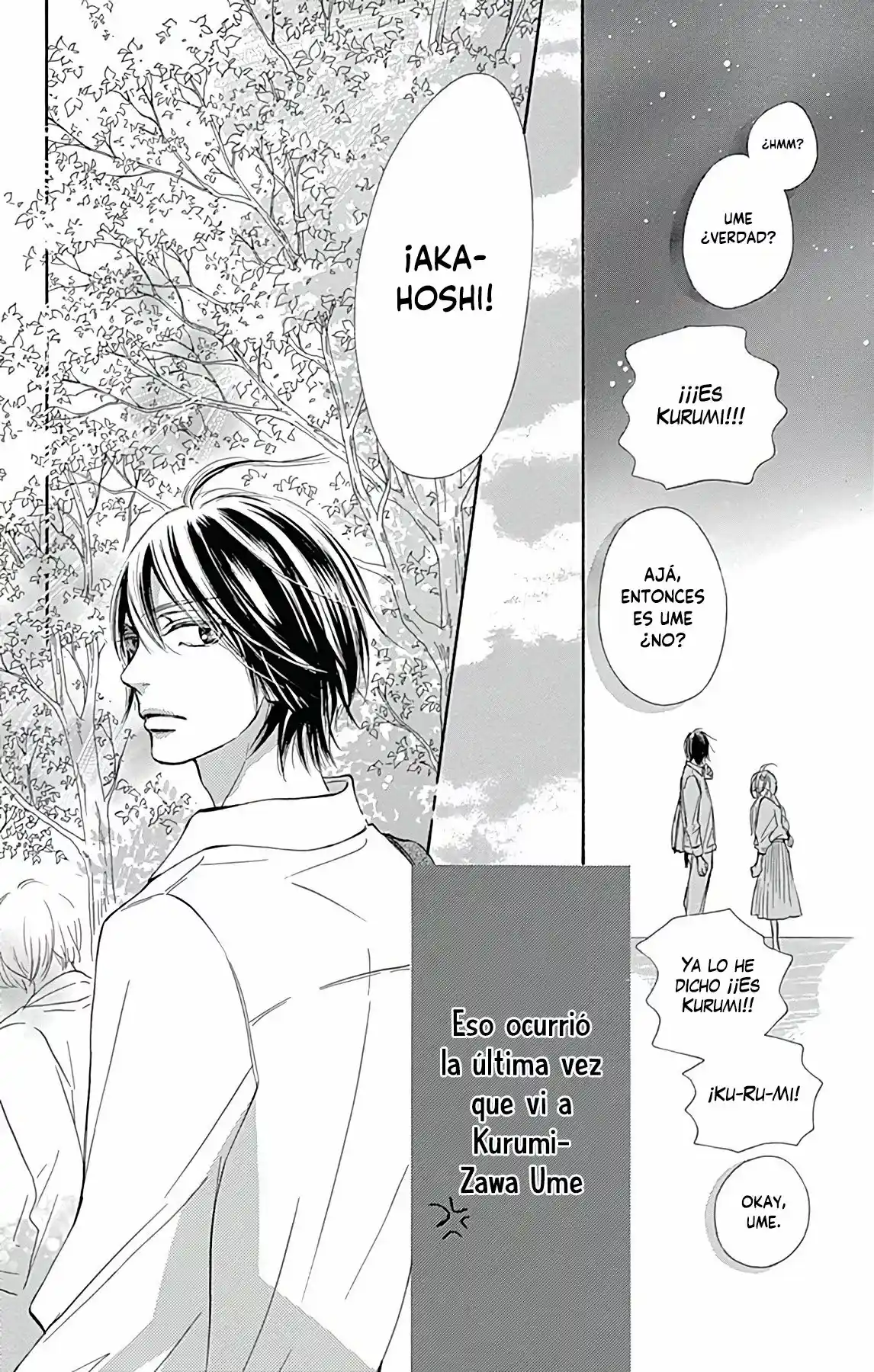 Kimi Ni Todoke Special ～Soulmate～ - Capítulo 2 - Página 9 - LectorTMOo