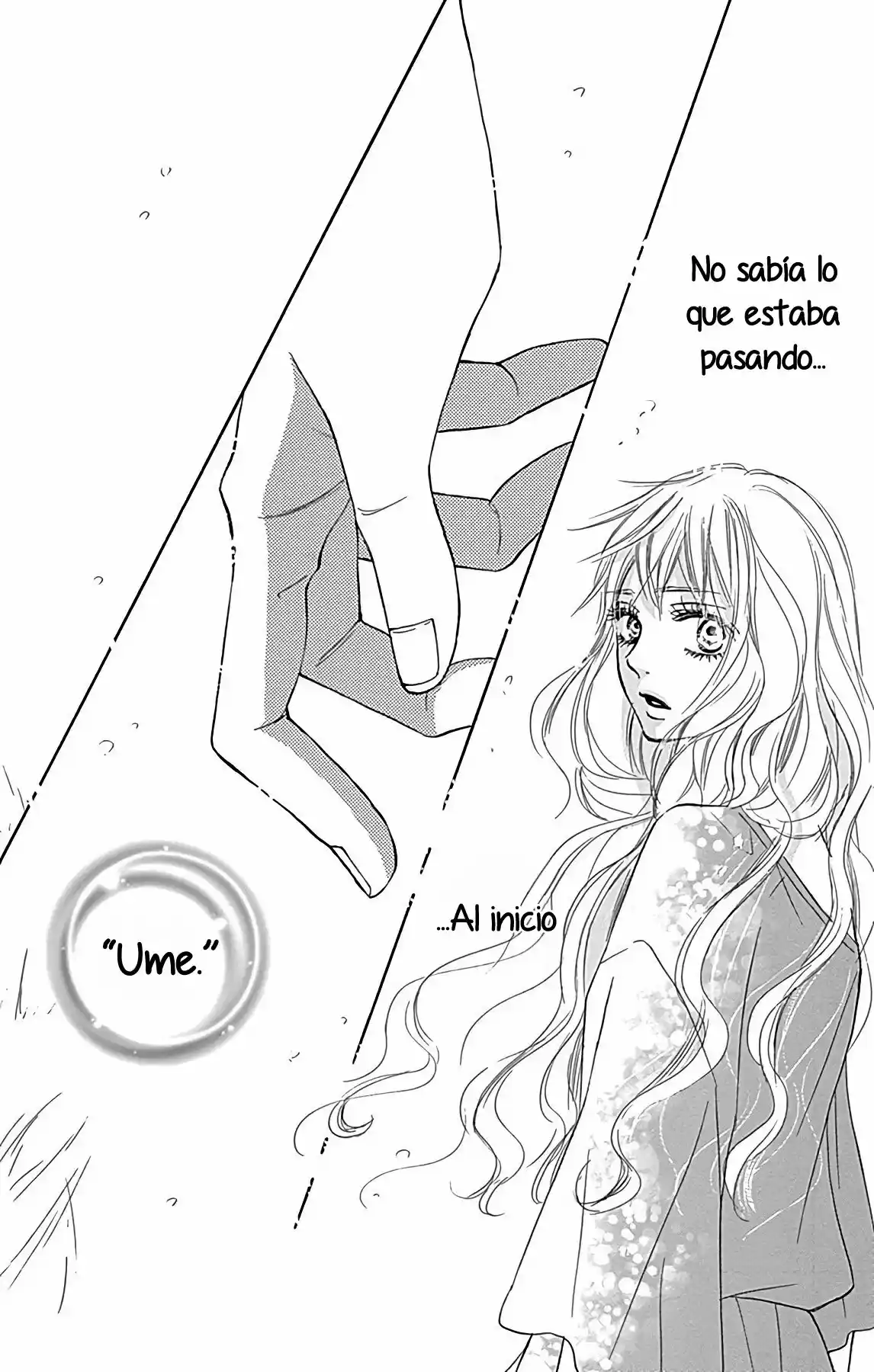 Kimi Ni Todoke Special ～Soulmate～ - Capítulo 2 - Página 45 - LectorTMOo