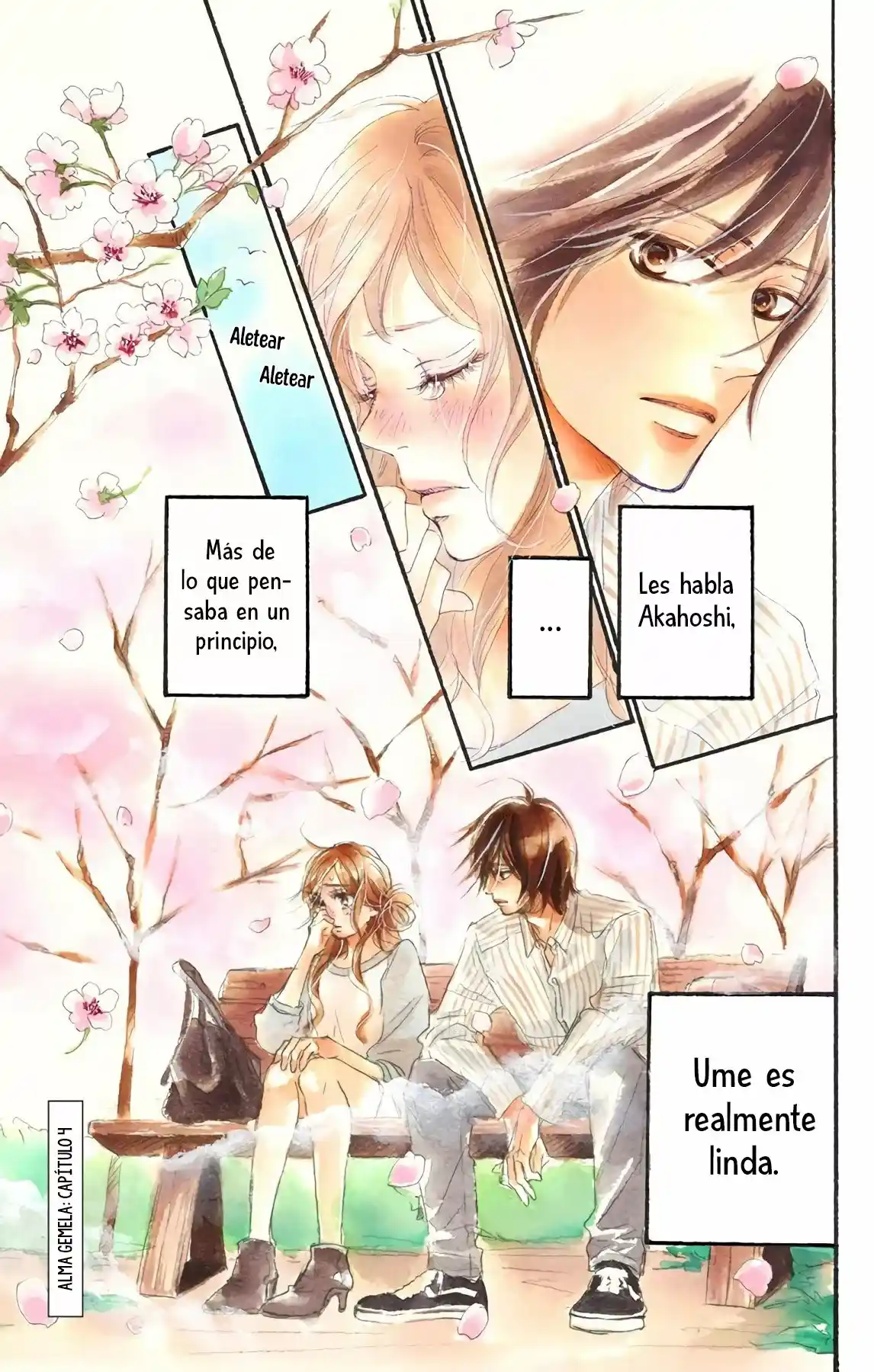 Kimi Ni Todoke Special ~Soulmate~ - Capítulo 4 - Página 2 - LectorTMOo