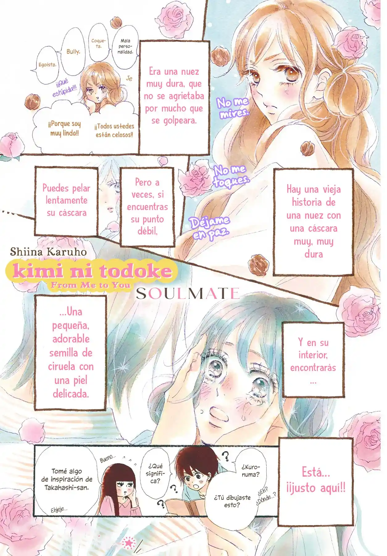 Kimi Ni Todoke Special ~Soulmate~ - Capítulo 5 - Página 3 - LectorTMOo
