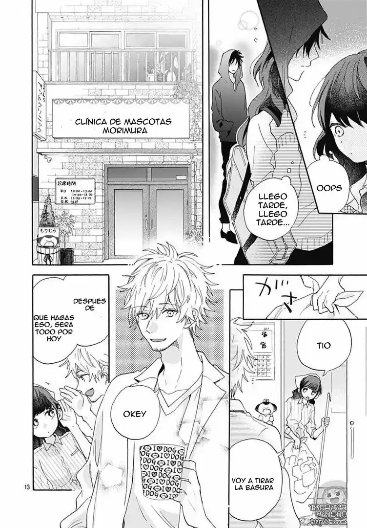 Kimi To Wonderland - Capítulo 1 - Página 15 - LectorTMOo