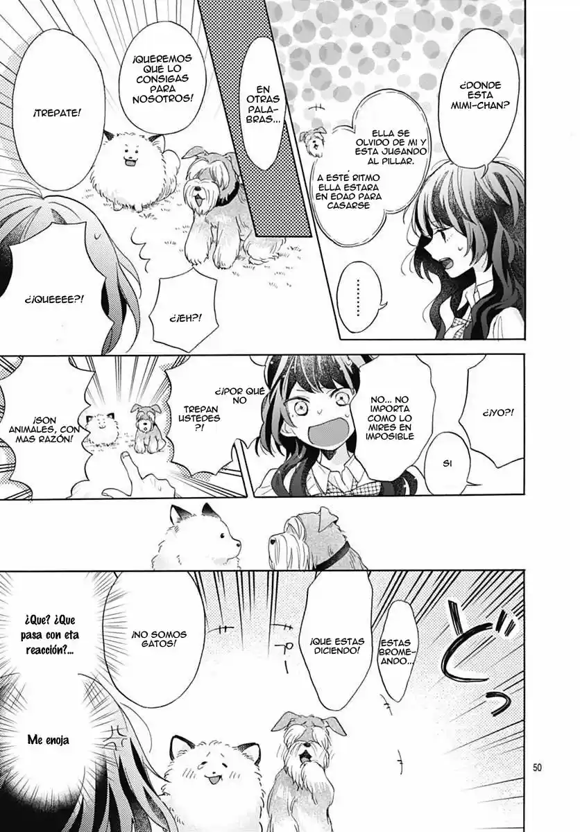Kimi To Wonderland - Capítulo 1 - Página 51 - LectorTMOo