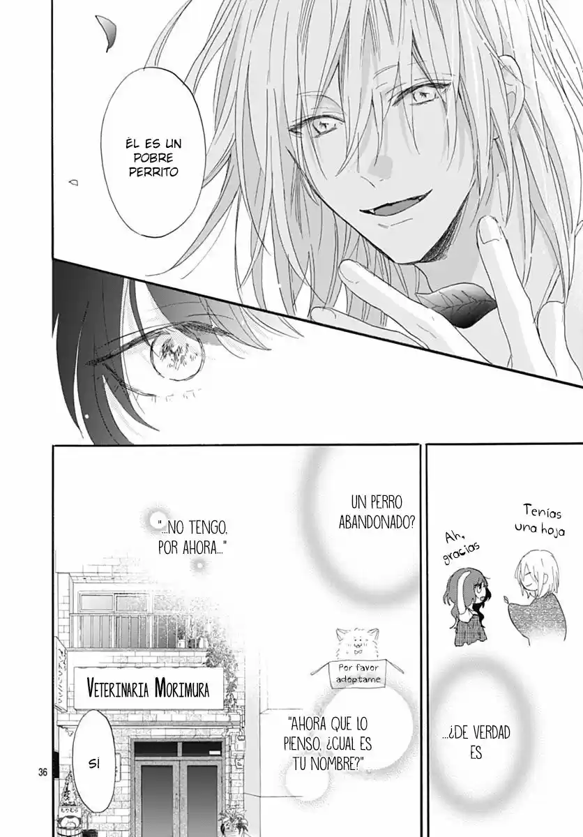 Kimi To Wonderland - Capítulo 2 - Página 37 - LectorTMOo