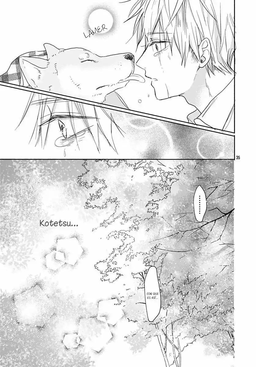 Kimi To Wonderland - Capítulo 8 - Página 39 - LectorTMOo