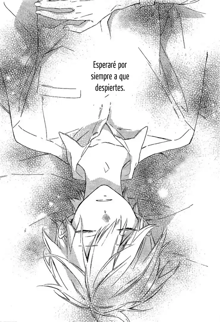 Kimi Wa Haru Ni Me Wo Samasu - Capítulo 1 - Página 4 - LectorTMOo