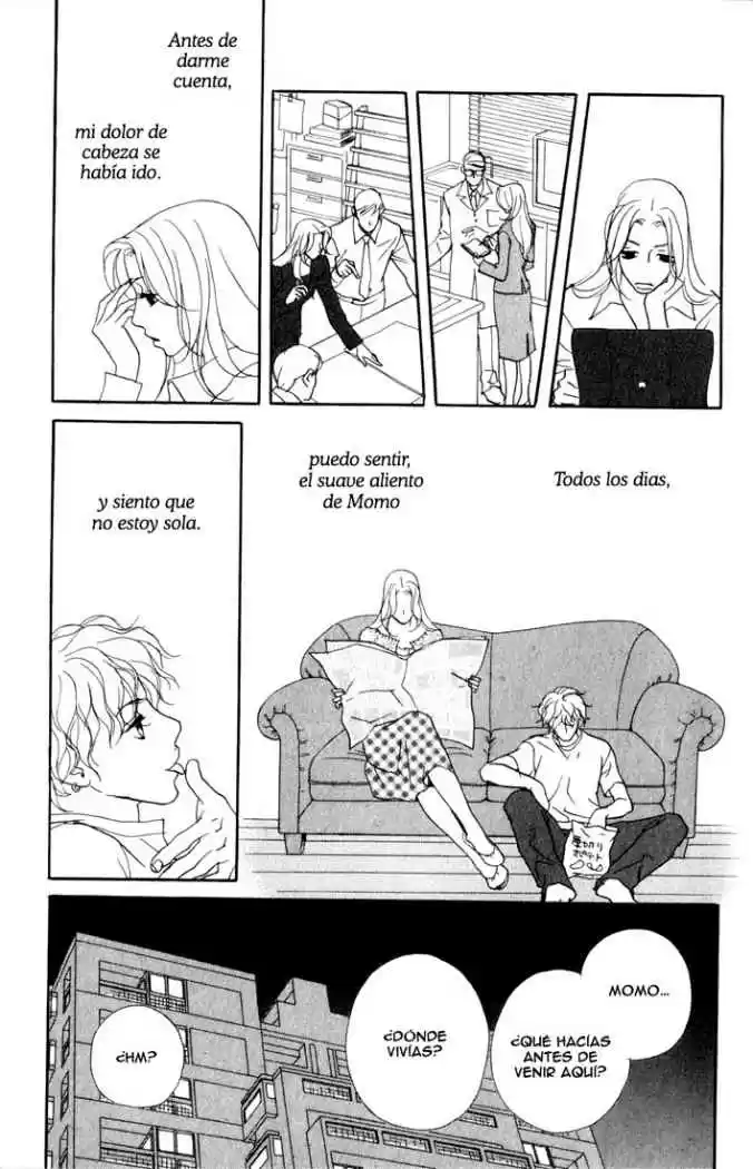 Kimi Wa Pet - Capítulo 1 - Página 19 - LectorTMOo