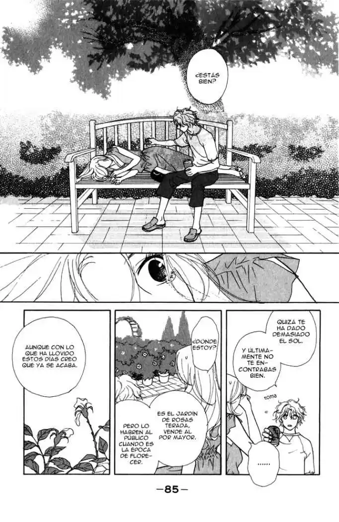Kimi Wa Pet - Capítulo 13 - Página 24 - LectorTMOo