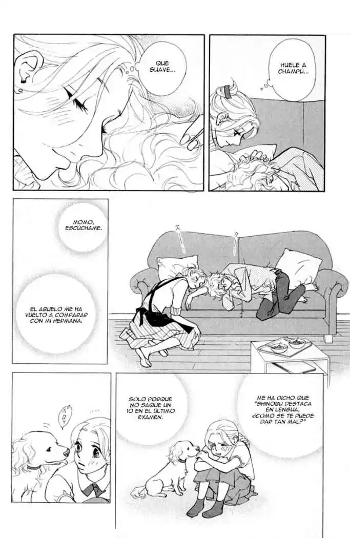 Kimi Wa Pet - Capítulo 17 - Página 17 - LectorTMOo