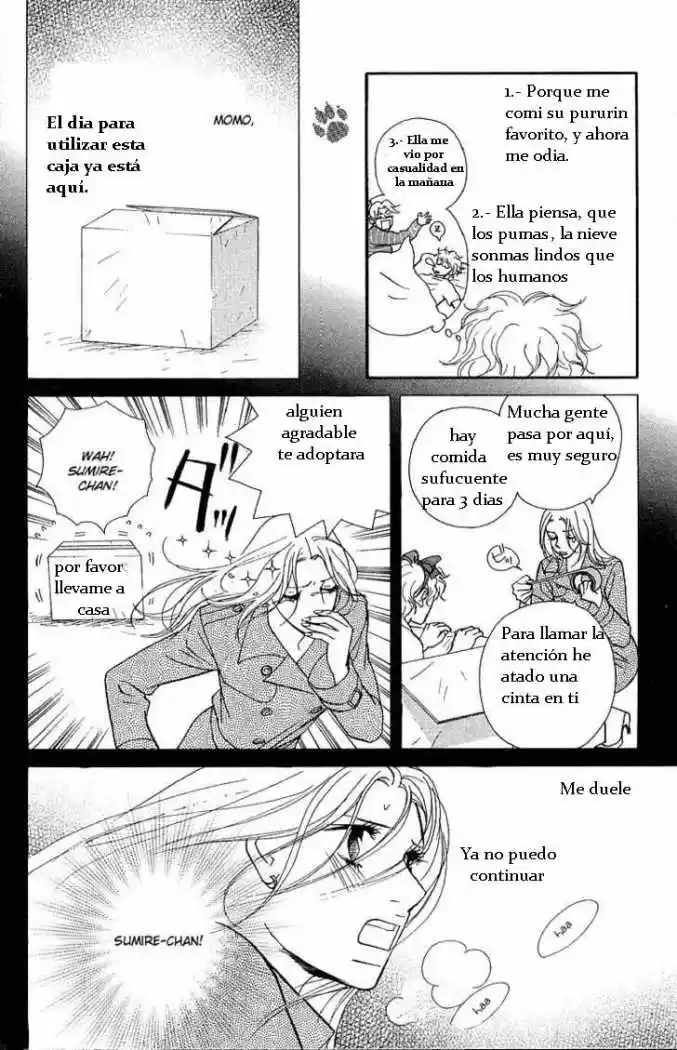 Kimi Wa Pet - Capítulo 25 - Página 11 - LectorTMOo
