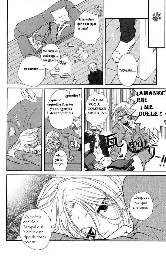 Kimi Wa Pet - Capítulo 25 - Página 14 - LectorTMOo