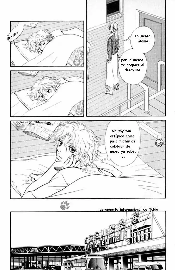 Kimi Wa Pet - Capítulo 33 - Página 21 - LectorTMOo
