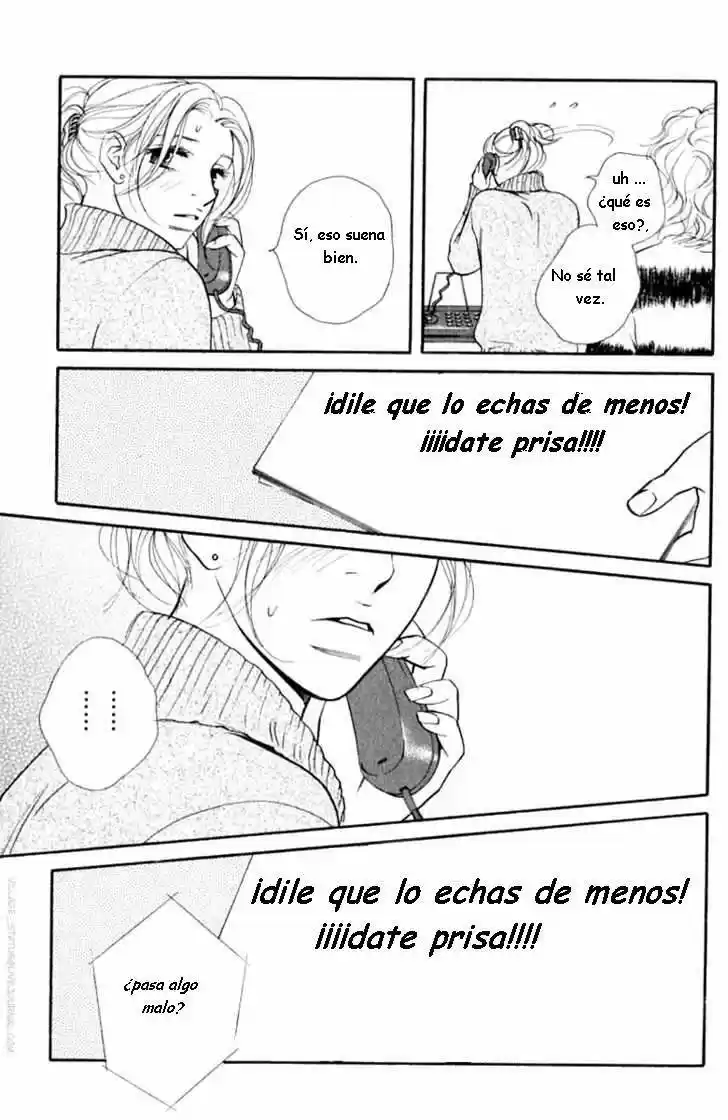 Kimi Wa Pet - Capítulo 35 - Página 32 - LectorTMOo