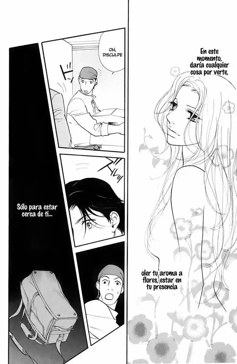 Kimi Wa Pet - Capítulo 38 - Página 26 - LectorTMOo