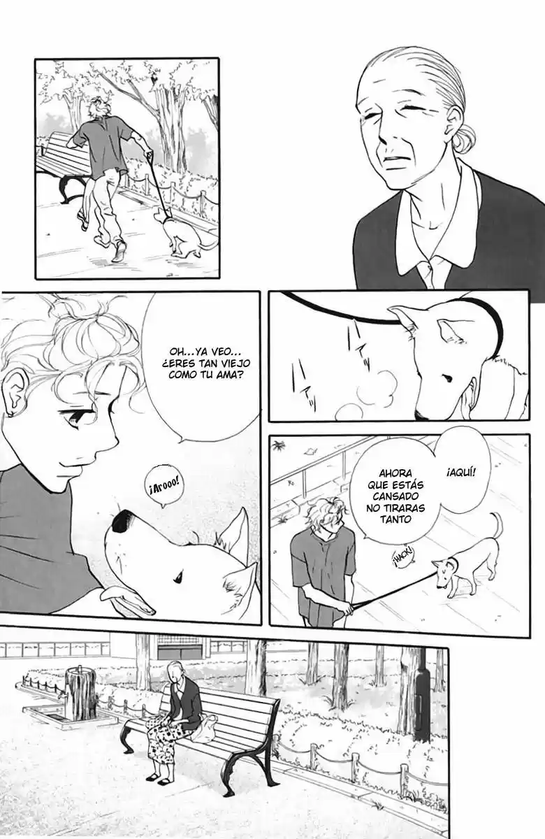 Kimi Wa Pet - Capítulo 43 - Página 8 - LectorTMOo