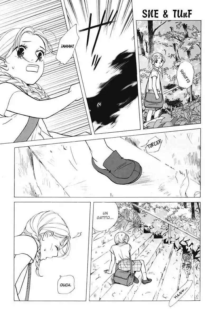 Kimi Wa Pet - Capítulo 44 - Página 24 - LectorTMOo
