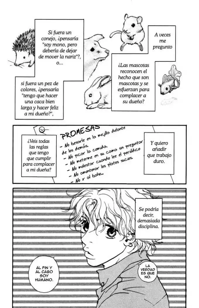 Kimi Wa Pet - Capítulo 8 - Página 4 - LectorTMOo
