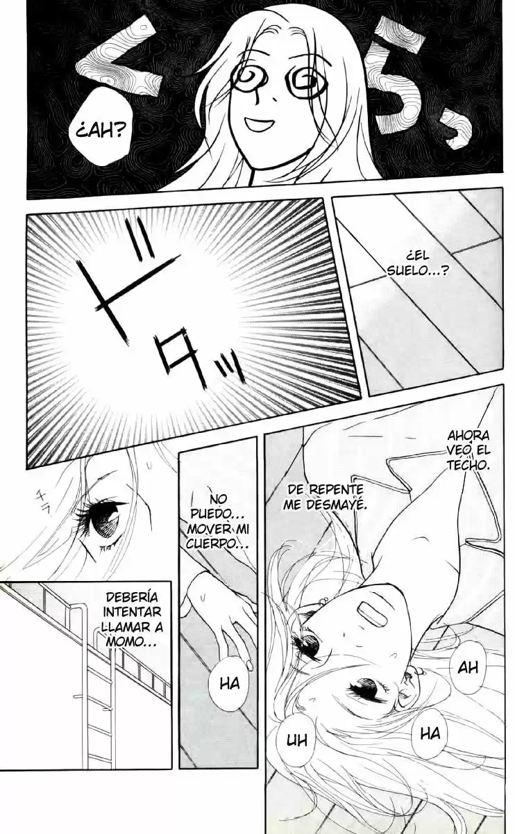 Kimi Wa Petto - Capítulo 10 - Página 17 - LectorTMOo