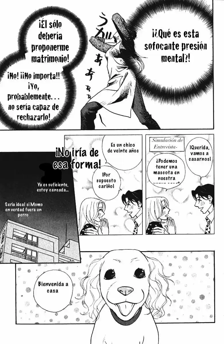 Kimi Wa Petto - Capítulo 17 - Página 19 - LectorTMOo