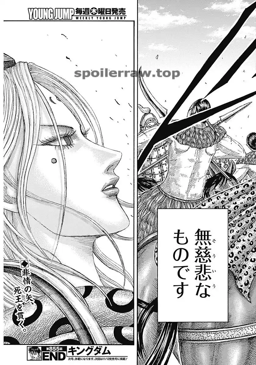Kingdom capítulo 855 página 19