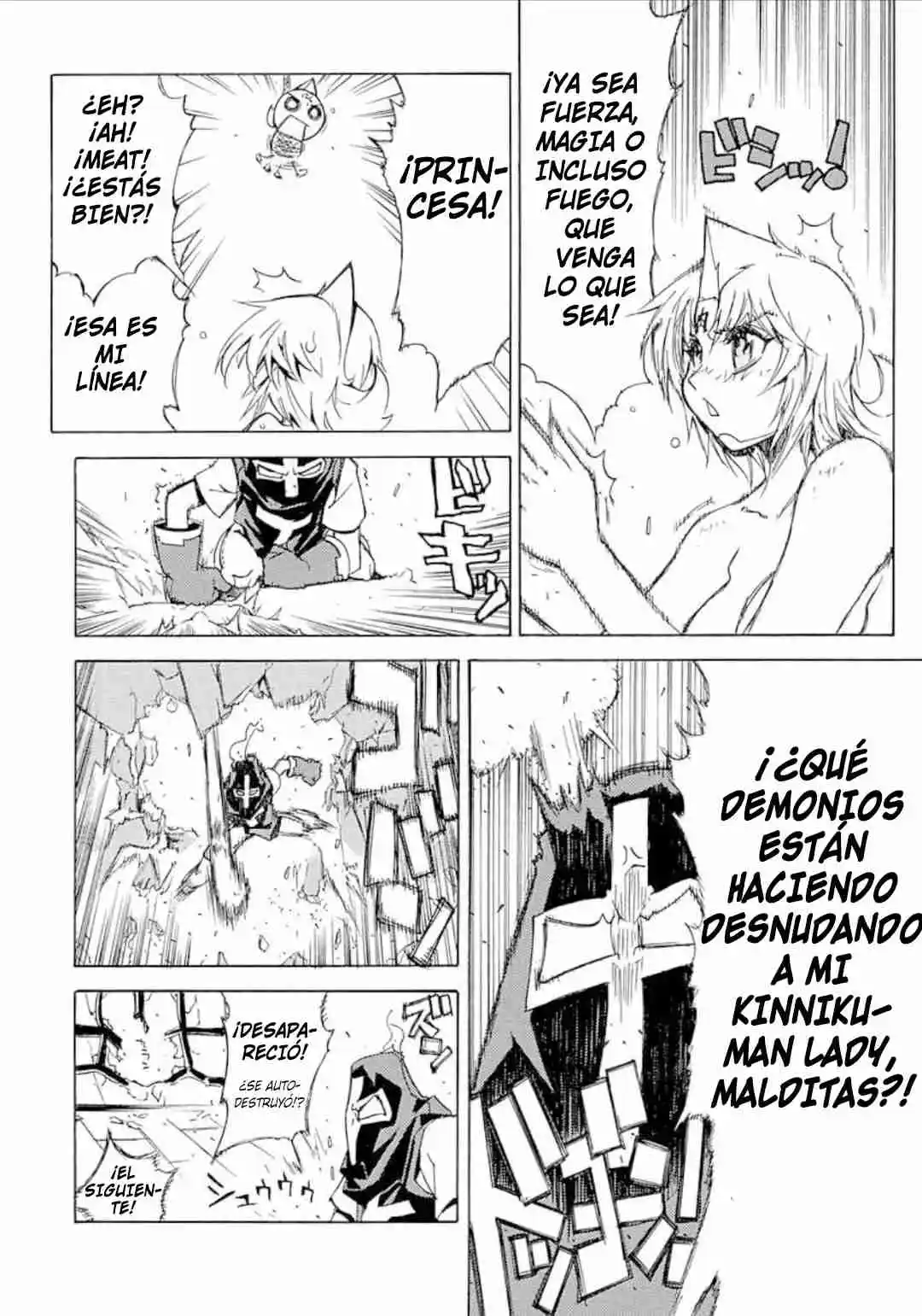 Kinnikuman Lady - Capítulo 24.20 - Página 14 - LectorTMOo
