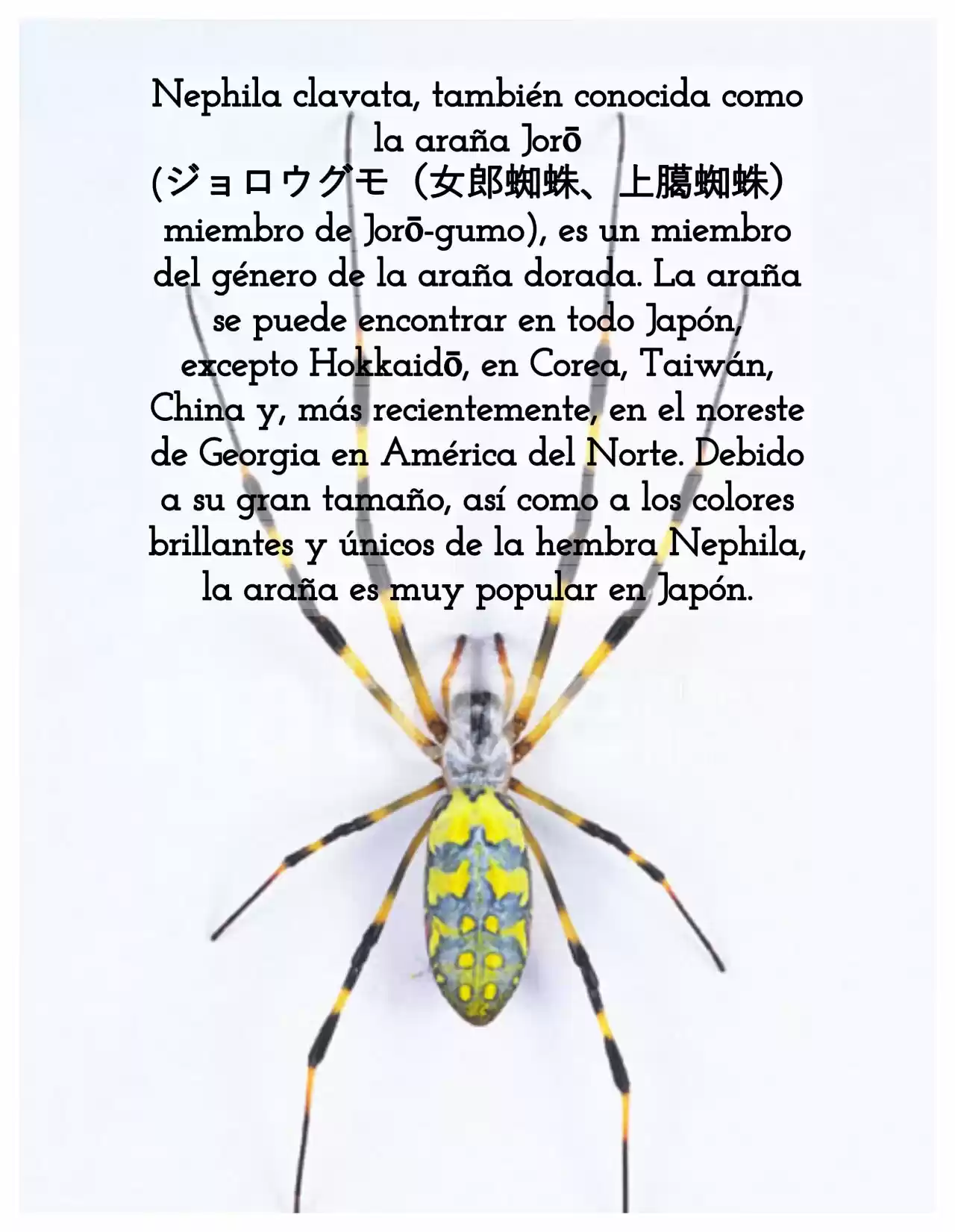 Kochou No Yumeji - Capítulo 43 - Página 6 - LectorTMOo