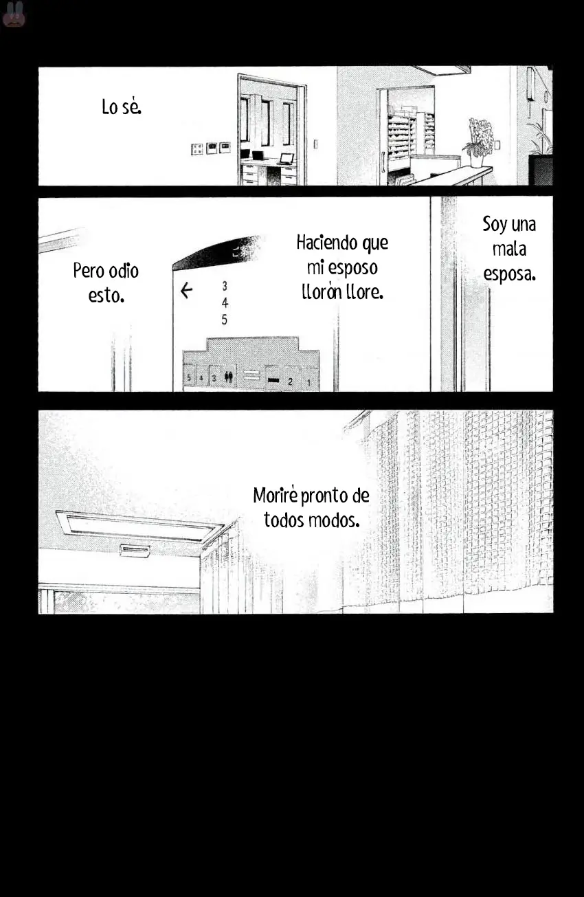 Koi-iji - Capítulo 40 - Página 16 - LectorTMOo