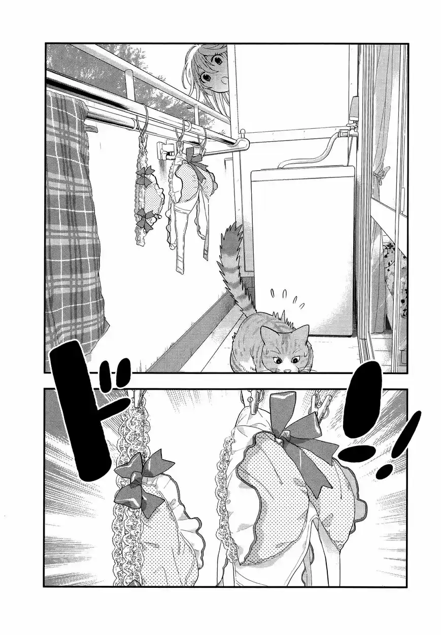 Koi Lemon - Capítulo 3 - Página 14 - LectorTMOo
