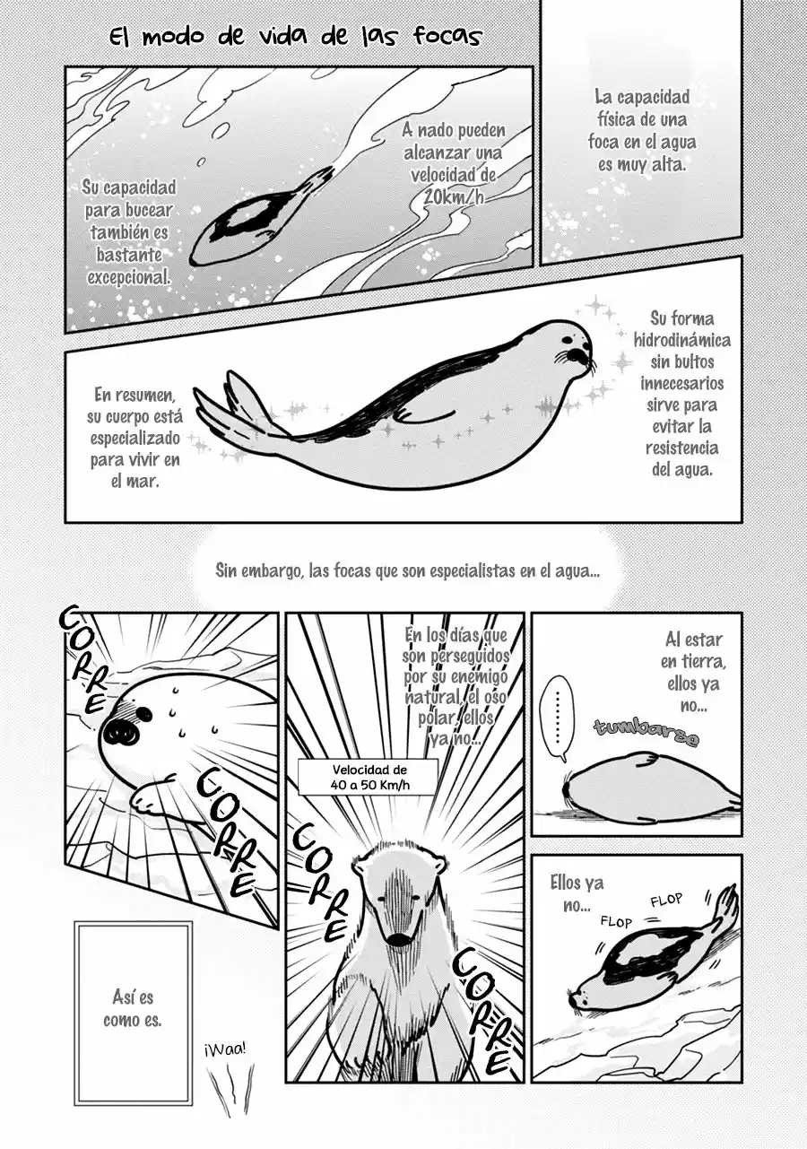 Koi Suru Shirokuma - Capítulo 2 - Página 4 - LectorTMOo