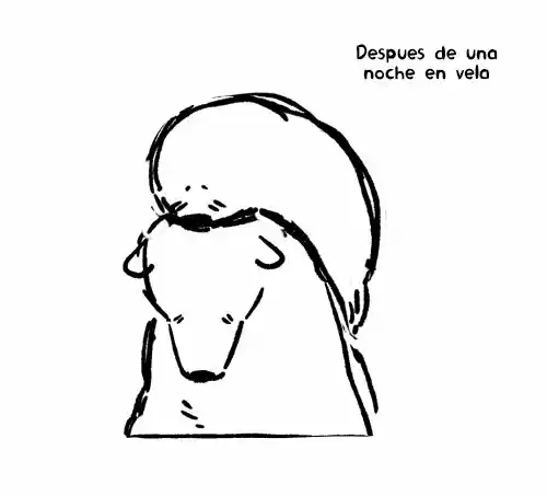 Koi Suru Shirokuma - Capítulo 22.50 - Página 8 - LectorTMOo