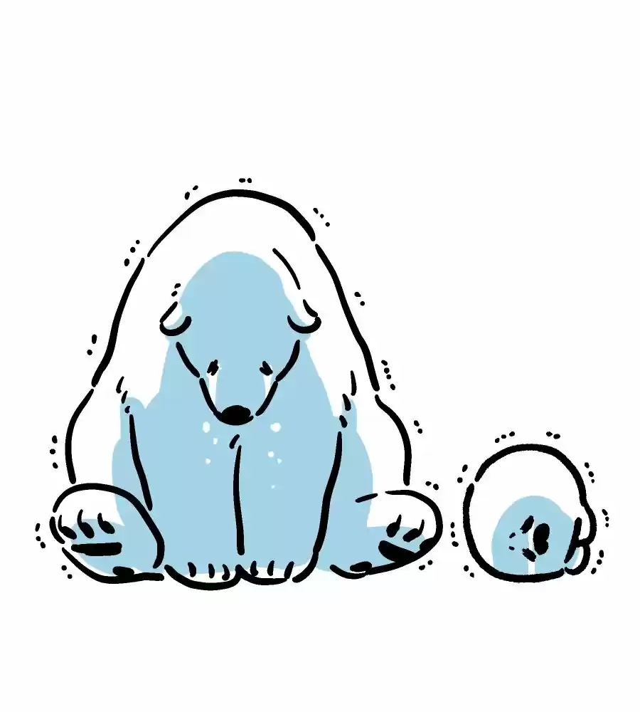 Koi Suru Shirokuma - Capítulo 22.50 - Página 16 - LectorTMOo