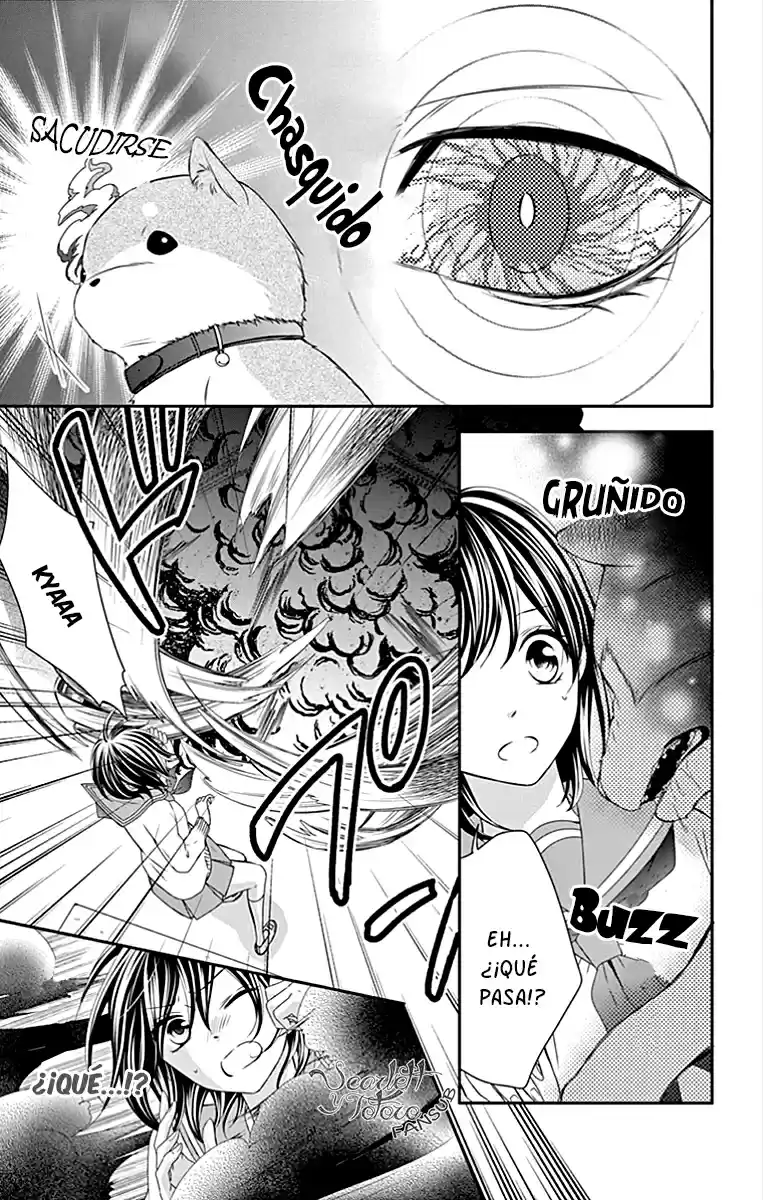Koi To Kemono To Seitokai - Capítulo 7 - Página 17 - LectorTMOo