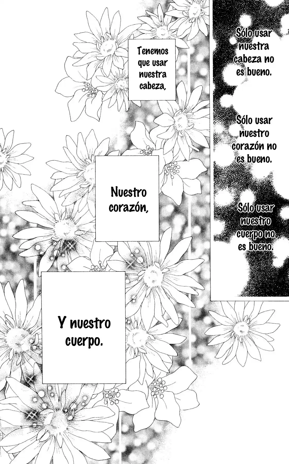 Koibana! Koi Seyo Hanabi - Capítulo 65 - Página 25 - LectorTMOo