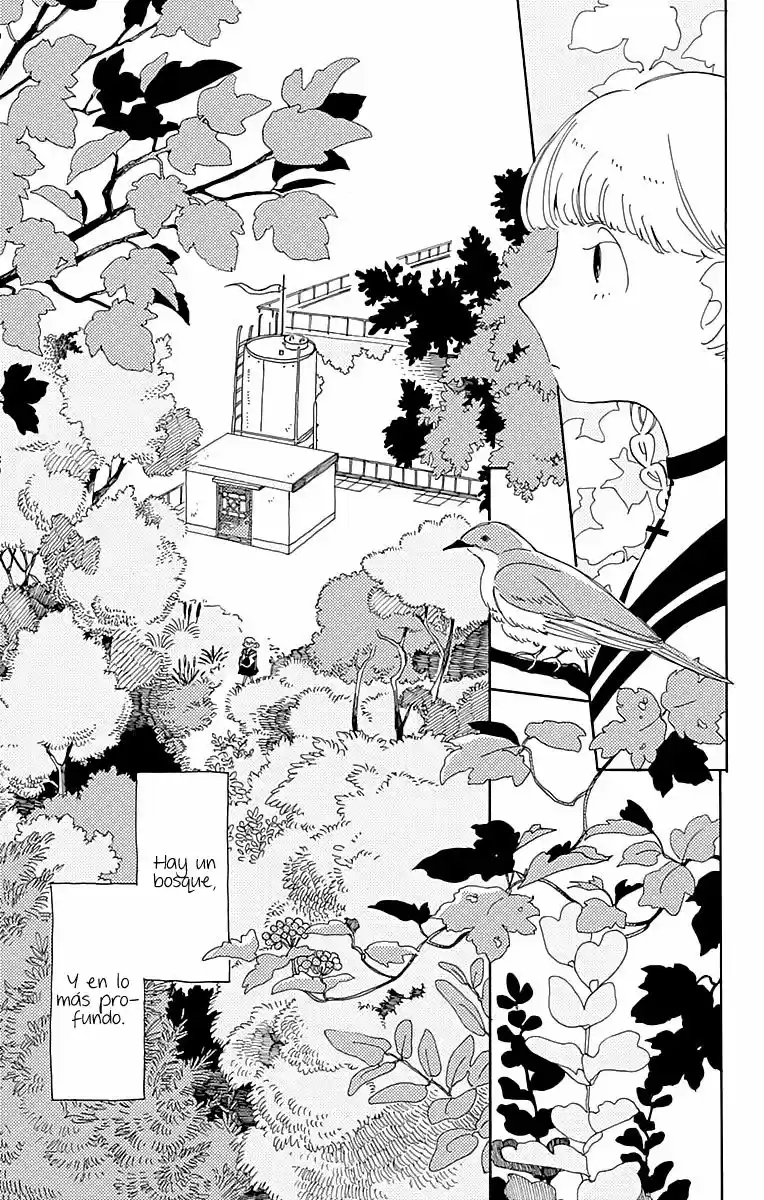 Kokage-kun - Capítulo 1 - Página 8 - LectorTMOo