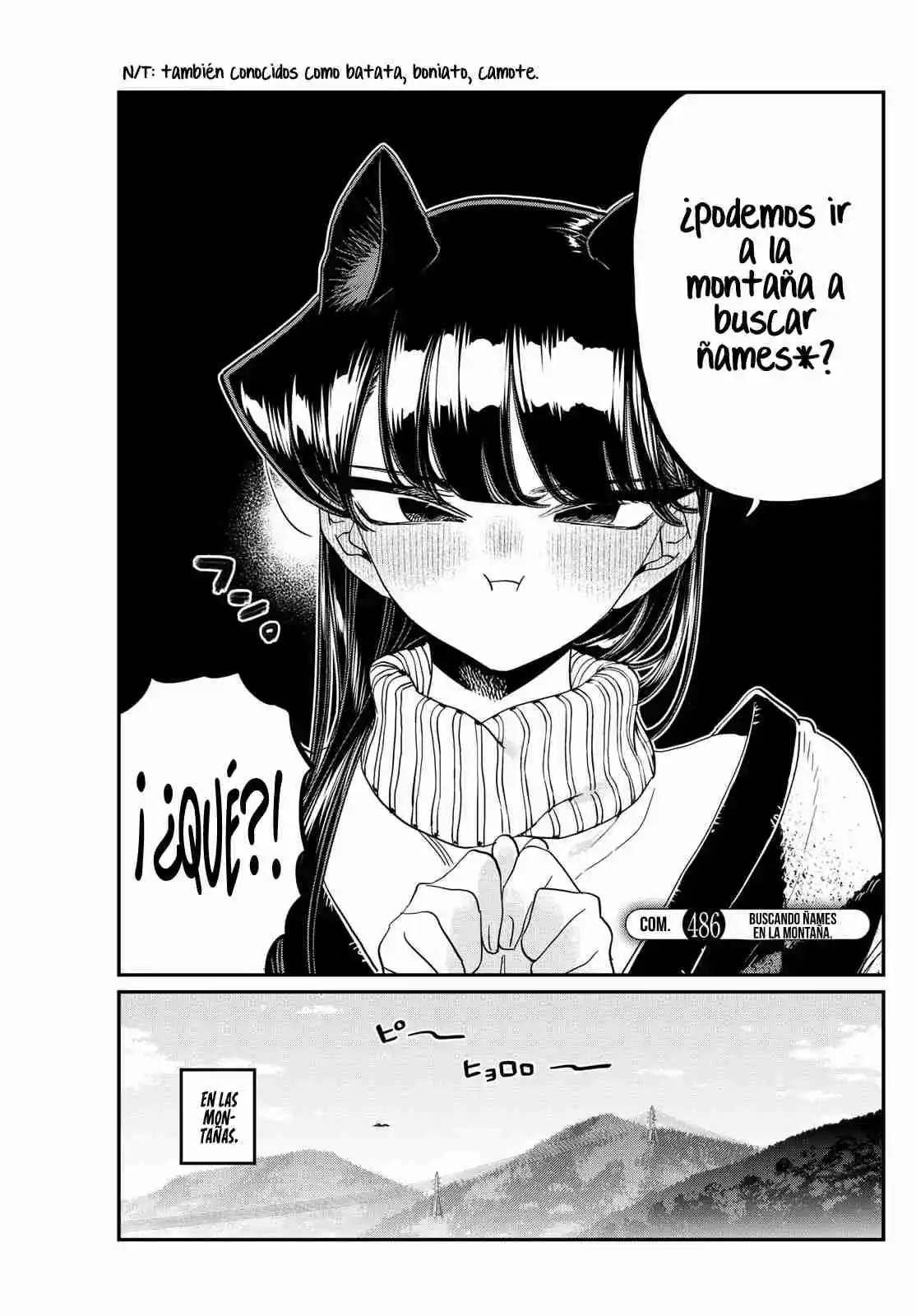 Komi No Puede Comunicarse - Capítulo 486 - Página 17 - LectorTMOo